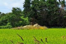 20240616_sehag_sortie_archeologie-37