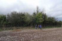 Prospections de surface
