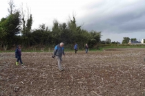 Prospections de surface