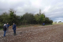 Prospections de surface