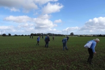 Prospections de surface